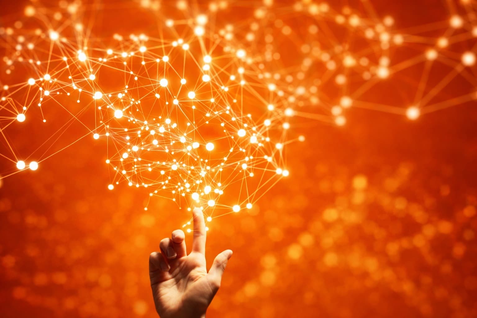 Vindhya — tech driven, human touch